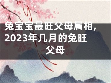 兔宝宝最旺父母属相,2023年几月的兔旺父母