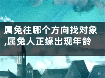 属兔往哪个方向找对象,属兔人正缘出现年龄