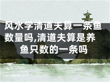 风水学清道夫算一条鱼数量吗,清道夫算是养鱼只数的一条吗
