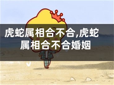 虎蛇属相合不合,虎蛇属相合不合婚姻
