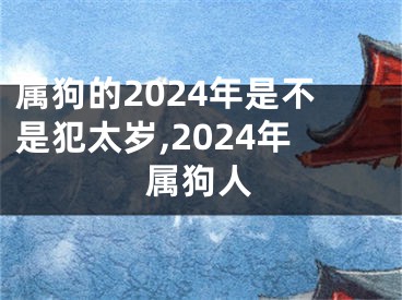 属狗的2024年是不是犯太岁,2024年属狗人