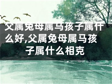 父属兔母属马孩子属什么好,父属兔母属马孩子属什么相克