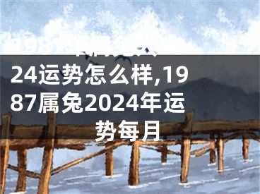 1987年属兔人2024运势怎么样,1987属兔2024年运势每月