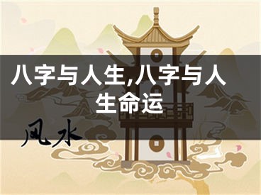 八字与人生,八字与人生命运