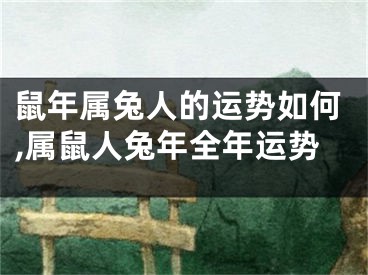 鼠年属兔人的运势如何,属鼠人兔年全年运势