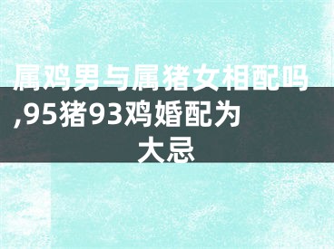 属鸡男与属猪女相配吗,95猪93鸡婚配为大忌