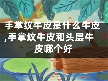 手掌纹牛皮是什么牛皮,手掌纹牛皮和头层牛皮哪个好