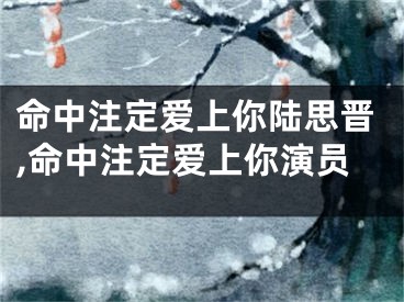 命中注定爱上你陆思晋,命中注定爱上你演员
