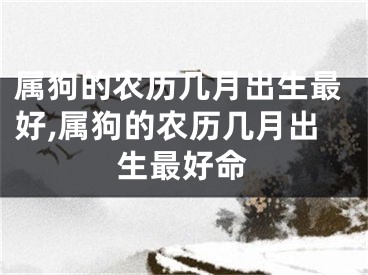 属狗的农历几月出生最好,属狗的农历几月出生最好命