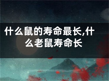 什么鼠的寿命最长,什么老鼠寿命长