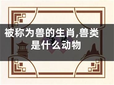 被称为兽的生肖,兽类是什么动物