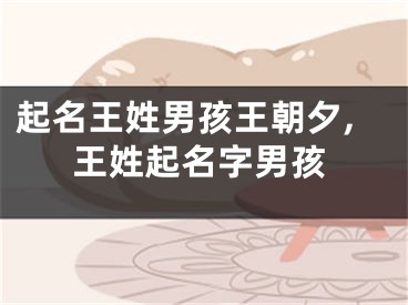 起名王姓男孩王朝夕,王姓起名字男孩