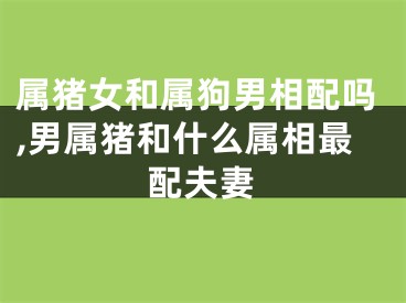 属猪女和属狗男相配吗,男属猪和什么属相最配夫妻