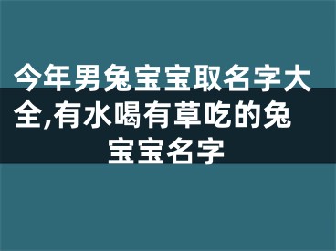 今年男兔宝宝取名字大全,有水喝有草吃的兔宝宝名字
