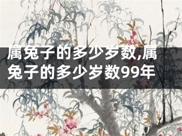 属兔子的多少岁数,属兔子的多少岁数99年