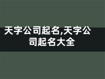 天字公司起名,天字公司起名大全