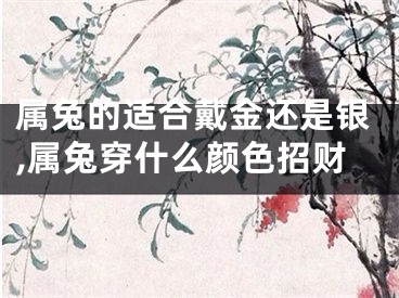 属兔的适合戴金还是银,属兔穿什么颜色招财