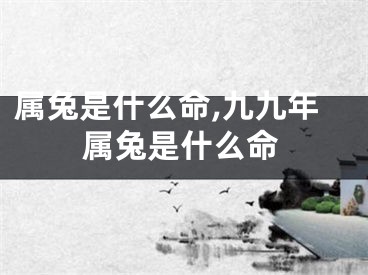 属兔是什么命,九九年属兔是什么命