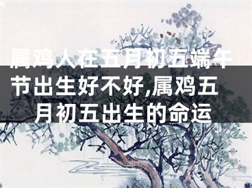 属鸡人在五月初五端午节出生好不好,属鸡五月初五出生的命运
