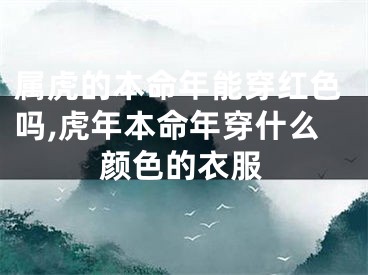 属虎的本命年能穿红色吗,虎年本命年穿什么颜色的衣服