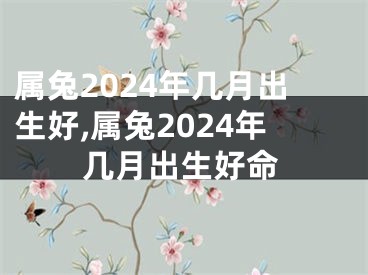 属兔2024年几月出生好,属兔2024年几月出生好命
