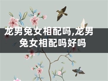 龙男兔女相配吗,龙男兔女相配吗好吗