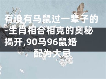 有没有马鼠过一辈子的-生肖相合相克的奥秘揭开,90马96鼠婚配为大忌