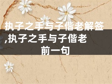 执子之手与子偕老解签,执子之手与子偕老 前一句