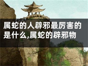 属蛇的人辟邪最厉害的是什么,属蛇的辟邪物