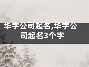 华字公司起名,华字公司起名3个字