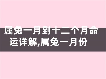 属兔一月到十二个月命运详解,属兔一月份
