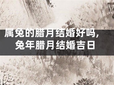 属兔的腊月结婚好吗,兔年腊月结婚吉日