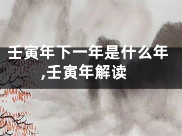 壬寅年下一年是什么年,壬寅年解读