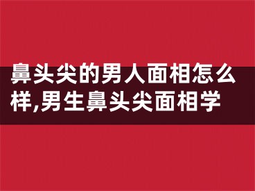 鼻头尖的男人面相怎么样,男生鼻头尖面相学