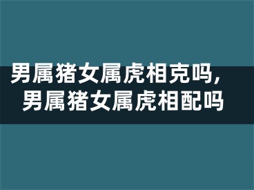 男属猪女属虎相克吗,男属猪女属虎相配吗