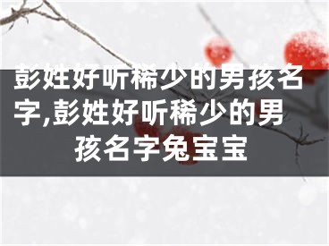 彭姓好听稀少的男孩名字,彭姓好听稀少的男孩名字兔宝宝