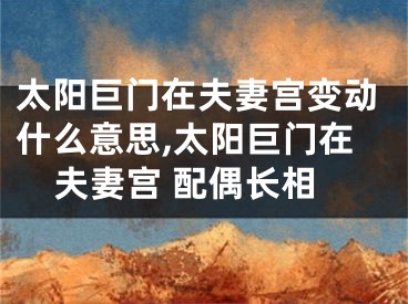太阳巨门在夫妻宫变动什么意思,太阳巨门在夫妻宫 配偶长相