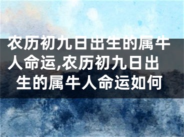 农历初九日出生的属牛人命运,农历初九日出生的属牛人命运如何
