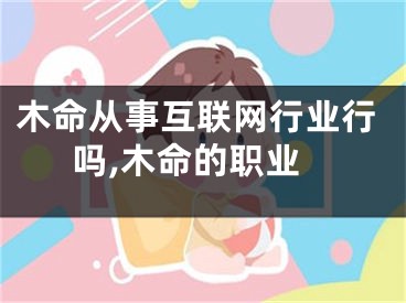 木命从事互联网行业行吗,木命的职业