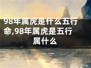 98年属虎是什么五行命,98年属虎是五行属什么