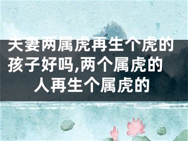 夫妻两属虎再生个虎的孩子好吗,两个属虎的人再生个属虎的