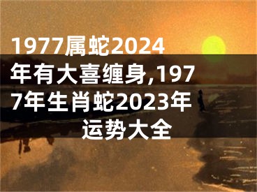 1977属蛇2024年有大喜缠身,1977年生肖蛇2023年运势大全