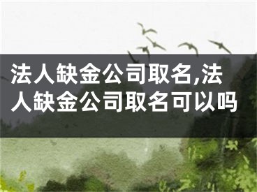 法人缺金公司取名,法人缺金公司取名可以吗