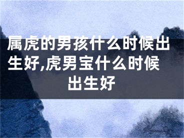 属虎的男孩什么时候出生好,虎男宝什么时候出生好