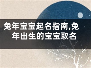 兔年宝宝起名指南,兔年出生的宝宝取名