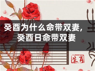 癸酉为什么命带双妻,癸酉日命带双妻
