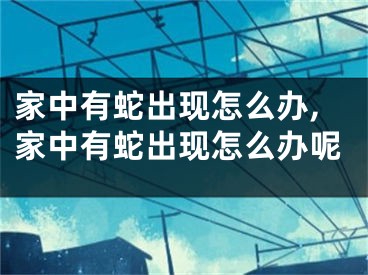 家中有蛇出现怎么办,家中有蛇出现怎么办呢
