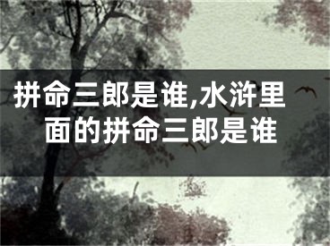 拼命三郎是谁,水浒里面的拼命三郎是谁