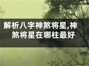 解析八字神煞将星,神煞将星在哪柱最好