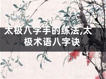 太极八字手的练法,太极术语八字诀